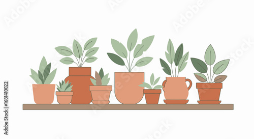 Set of Various Green Houseplants in Different Terracotta and Ceramic Pots Arranged on a Wooden Shelf for Interior Decor, Indoor Gardening, and Home Plant Enthusiasts, with Bright Natural Lighting