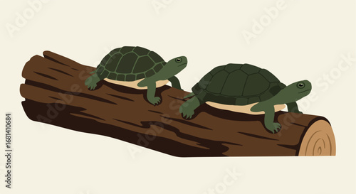 Turtles Resting on Log