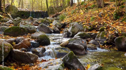 Mountain river flows over stones in autumn forest, natural sound. Karpacz, Poland