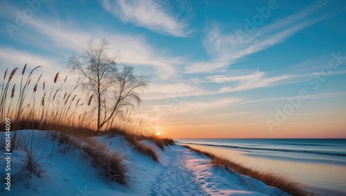 Fototapeta Naklejka Na Ścianę i Meble -  Nostalgic coastal scene showcasing beach dunes and reed vegetation at twilight, with a clear blue sky and snow-covered terrain