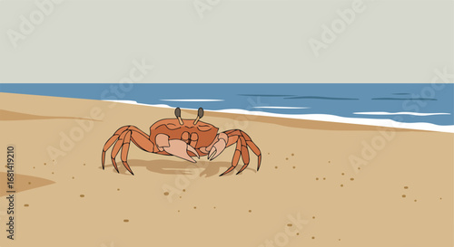 Crab Resting Peacefully on Sunny Beach