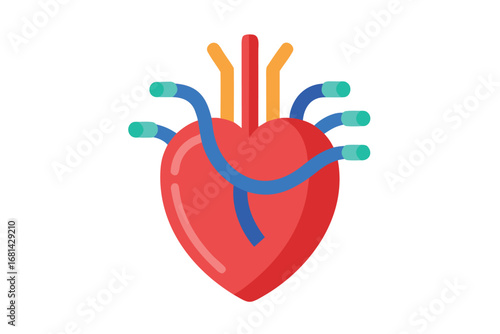 Stylized anatomical heart with arteries and veins in a minimalist design