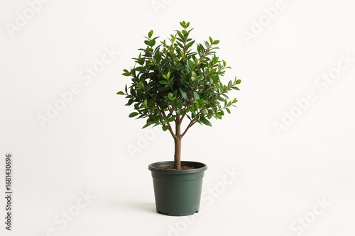 Miniature synthetic tree planted in a container against a plain white backdrop