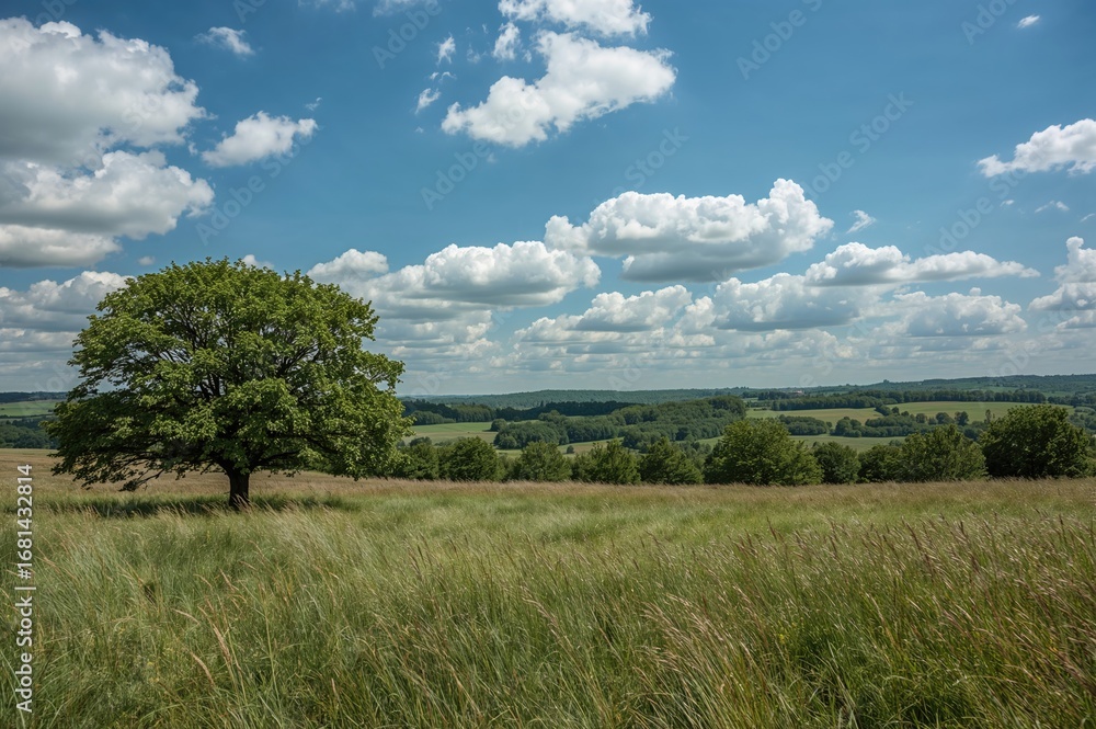 Obraz premium Nature's seasonal vista in the great outdoors
