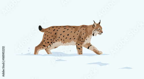 Lynx Walking Calmly in Snowy Landscape, Vector Flat Illustration.