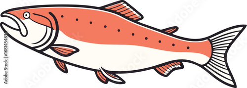Vector illustration of different types of salmon fish species in an aquatic wildlife environment