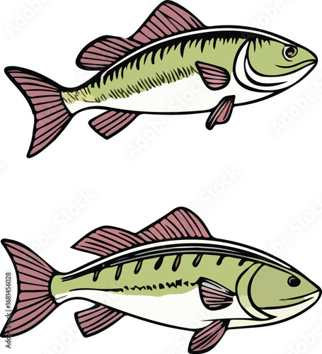 Vector illustration of different river fish species swimming together in a natural aquatic scene