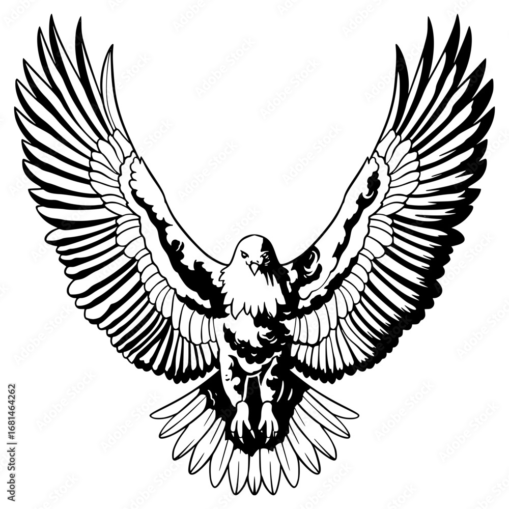 Fototapeta premium eagle with wings Illustration Art