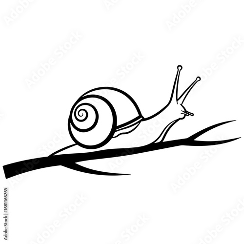 Title: A serene black and white vector illustration of a snail on a branch, showcasing the beauty of nature with clean, elegant lines.


