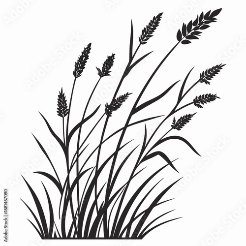 vector illustration of a plant