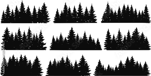 set of forest trees
