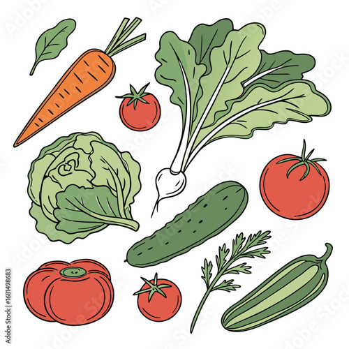 Vector art of a vibrant collection of fresh, handdrawn vegetables including carrots, tomatoes, lettuce, cabbage, cucumber, and radish, perfect for healthy eating and culinary themes