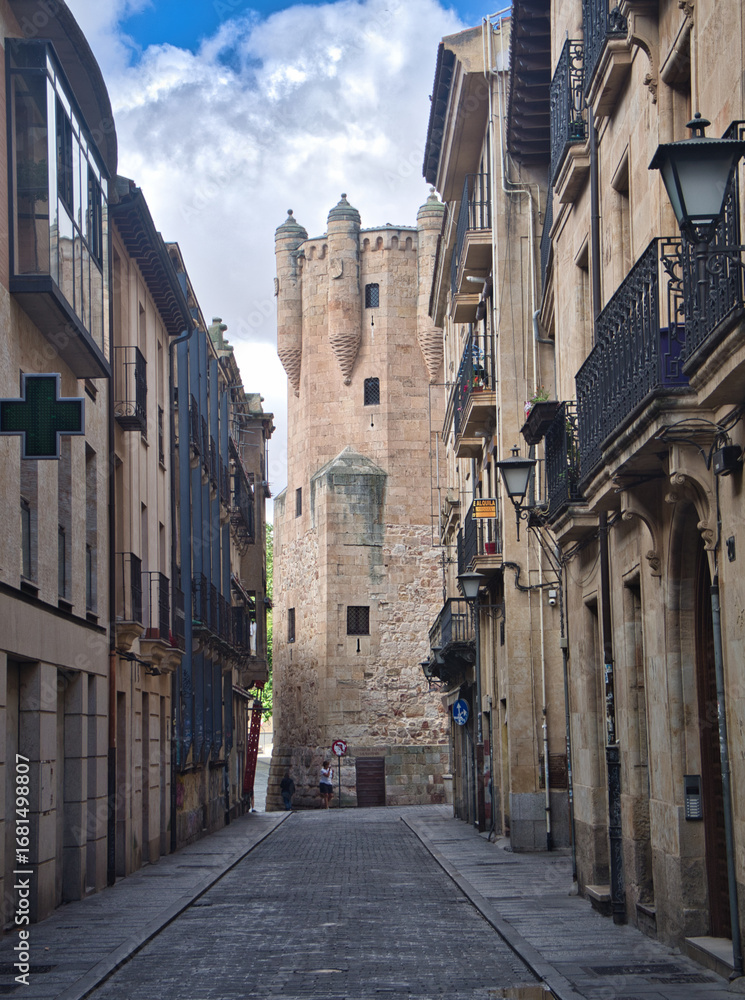 Fototapeta premium Clavero Tower and Old Salamanca Street: Narrow street leading to the Clavero Tower in Salamanca, Spain, showcasing a mix of historical and traditional architecture.
