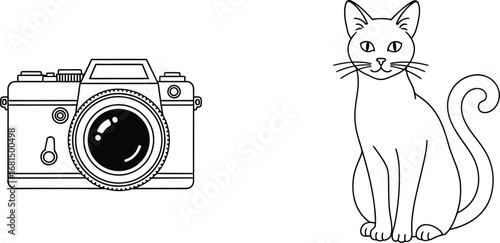 Camera and cat line art photography pet animal illustration