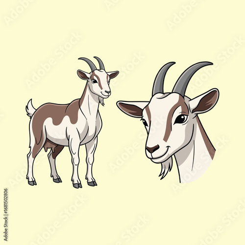 Goat Illustration Fullbody and Face