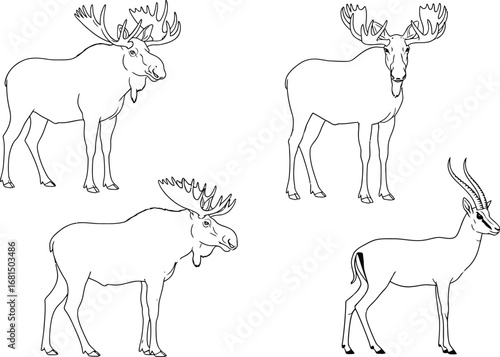 Moose and gazelle line art vector illustration coloring page