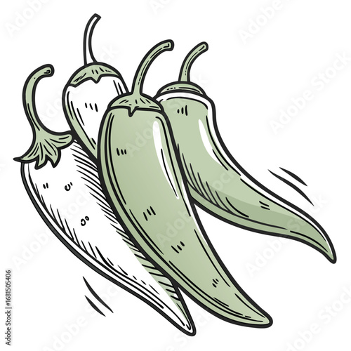 Vector art of handdrawn illustration of three green chili peppers, , with a sketchy, vintage style