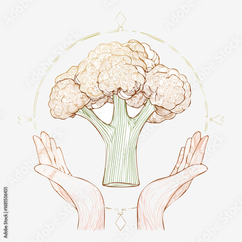 Hands Gently Holding a Fresh Broccoli Illustration