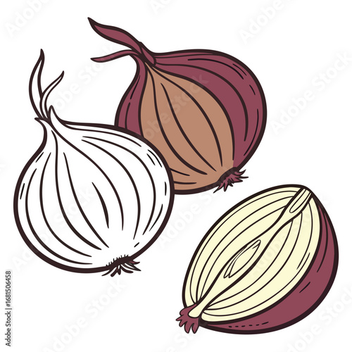 Illustration of two red onions, one whole and one cut in half, showcasing their layers and texture, isolated on white background