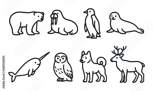 Marine life doodles: dolphin, turtle, crab, jellyfish, seahorse, starfish, coral
