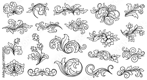 Vector art of assortment of delicate black and white botanical and swirling decorative motifs