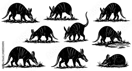 Vector art of collection of black and white drawings depicting aardvarks in various poses and activities