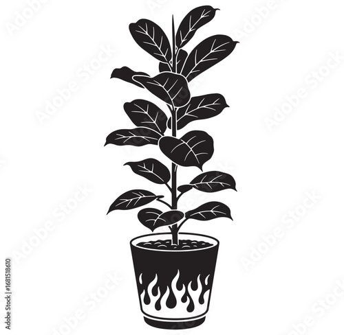 Black and white fiddle leaf fig plant in decorative pot vector illustration