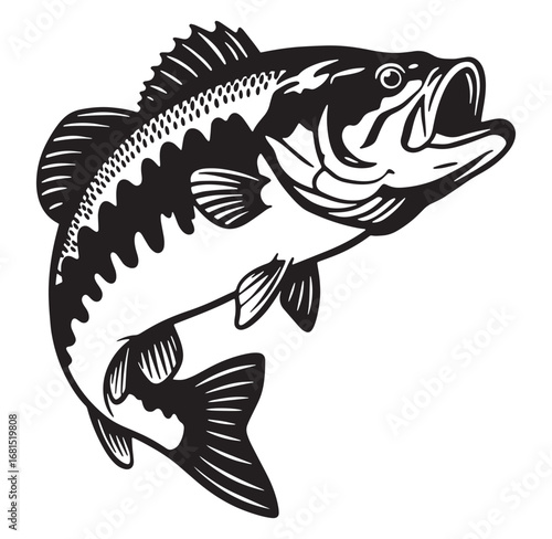 Black and white illustration of a largemouth bass leaping upward against a white background