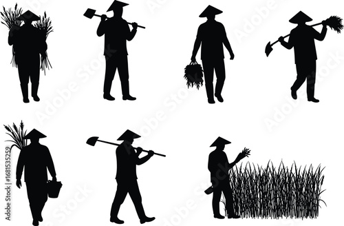 Silhouette of Asian farmers harvesting rice crops, carrying tools, working in fields, traditional hats, rural agricultural lifestyle vector illustration.