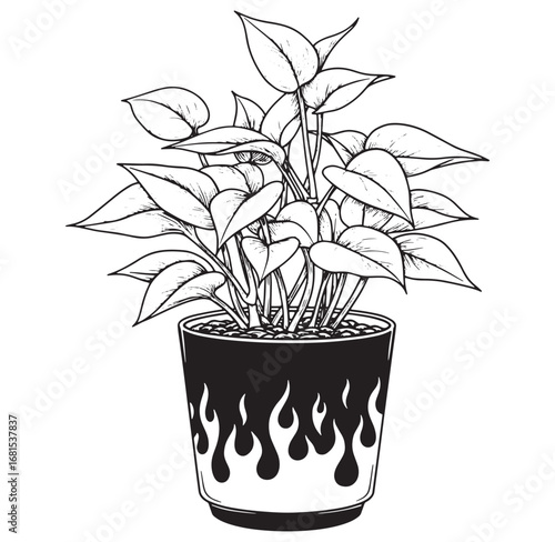 Detailed black and white illustration of a potted houseplant with stylish flame pattern on its pot