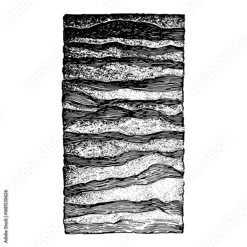 Detailed geological strata illustration black and white layered earth formation drawing vintage style design art 100