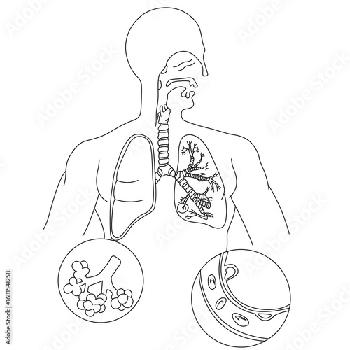 science of hand drawn vector Respiratory Process or system outline.