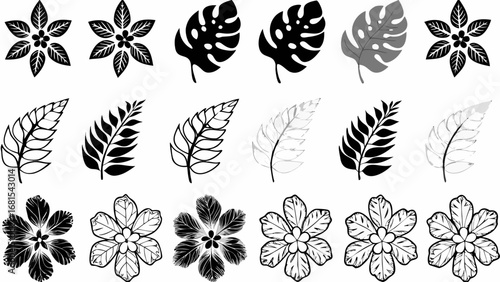 Elegant floral and leaf design elements for branding, invitations, and botanical designs with vector origin