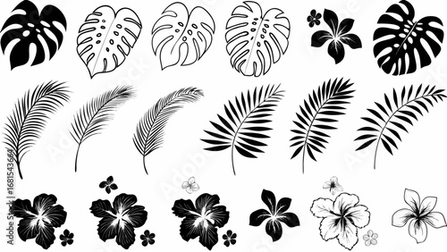 Tropical vibes with monstera leaves, hibiscus flowers, and palm fronds for your next creative project