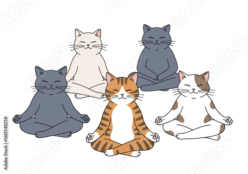 Five adorable felines find inner peace through mindful meditation practice