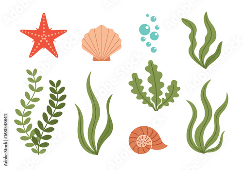 Ocean marine life underwater plants sea creatures and bubbles collection