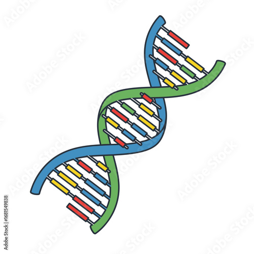 Detailed illustration of a DNA double helix structure with colorful strands on a white background