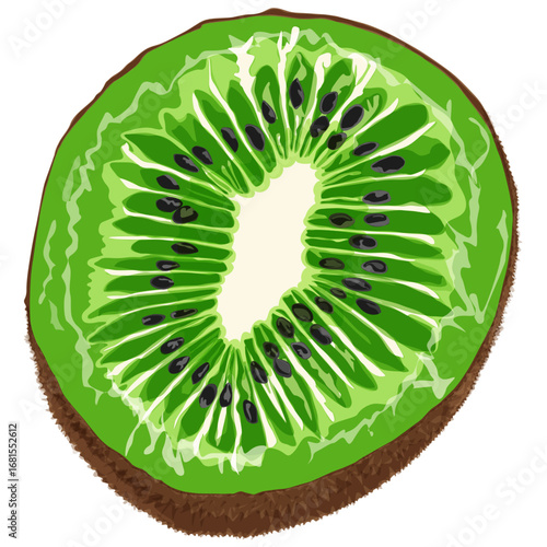 Healthy and organic kiwi slice illustration for food design.