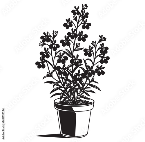 Vector illustration of a black and white potted plant with blooming flowers on white background