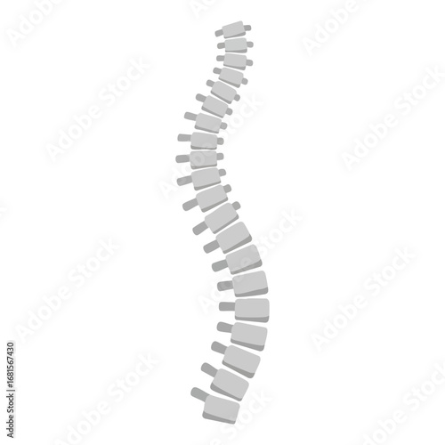Spine bones isolated on white vector