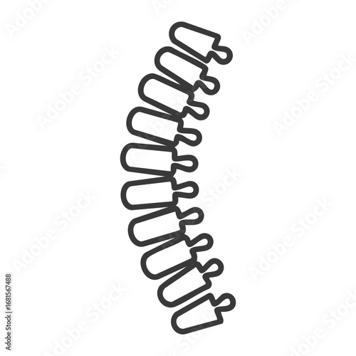 Spine bones isolated on white vector