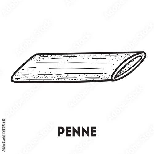 Pasta penne sketch. Italian food. Hand drawn vector illustration. Penne pasta Engraved style. Detailed black and white illustration.