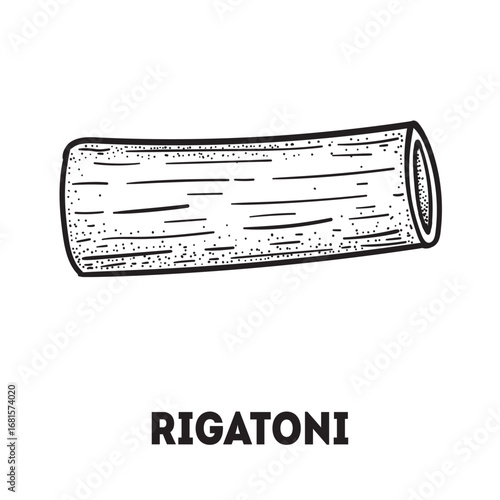 Pasta rigatoni sketch. Italian food. Hand drawn vector illustration. Rigatoni pasta Engraved style. Detailed black and white illustration.