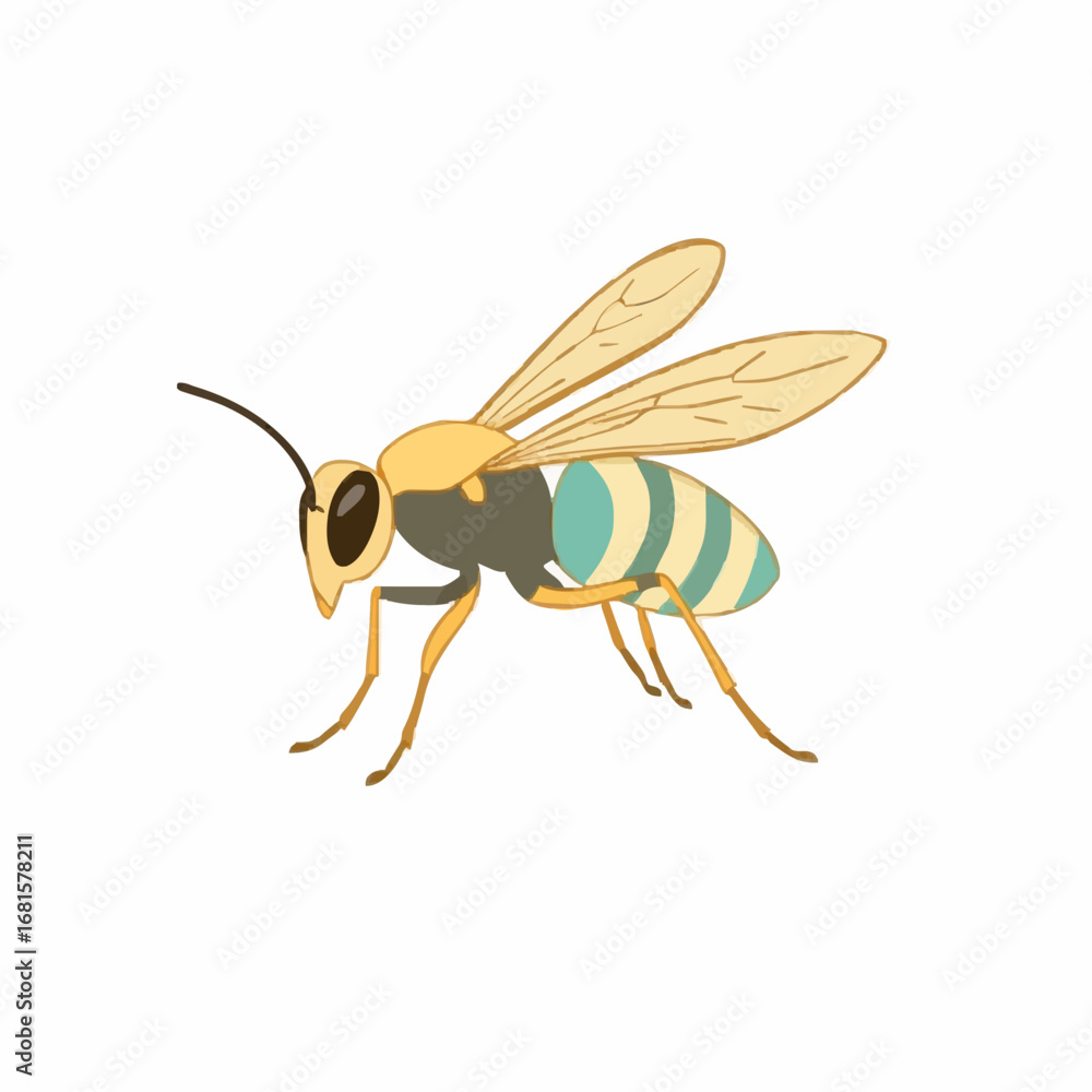 Obraz premium Wasp 24