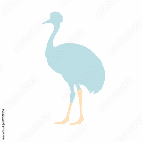 Cassowary 40