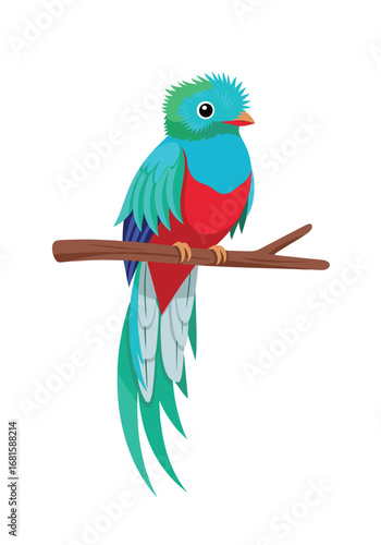 Resplendent quetzal bird sitting on a branch with its long tail feathers flowing down