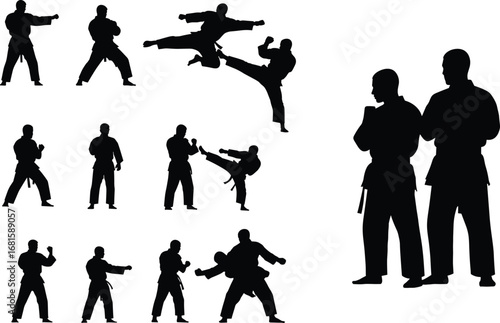 Martial arts silhouette vector set, combat poses, sparring stances, high kick icons, training illustration, black graphic, uniformed fighter figures