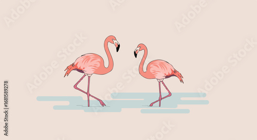 Two flamingos facing each other