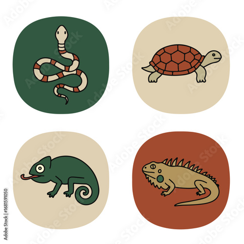 Reptile circles snake, turtle, chameleon, iguana in simple drawing style
