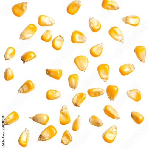 Corn cob PNG cutout isolated on white and transparent background. corn cob, fresh corn, corn PNG, corn cutout, isolated corn, corn on white, corn transparent background, sweet corn, organic corn.